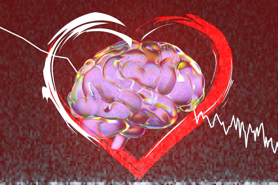 Scientists identify six different forms of love and how does they activate our brains