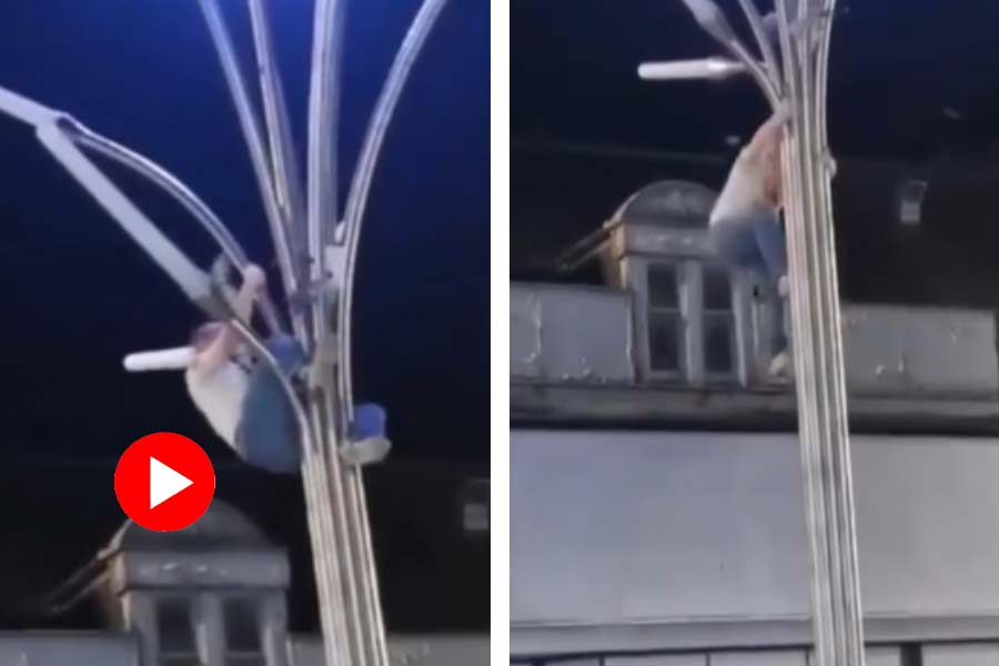 Man climbs lamppost to free a seagull