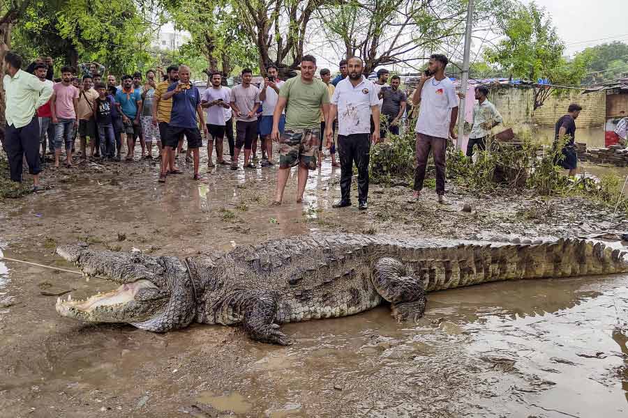All needs to know about Flood like situation in Gujarat