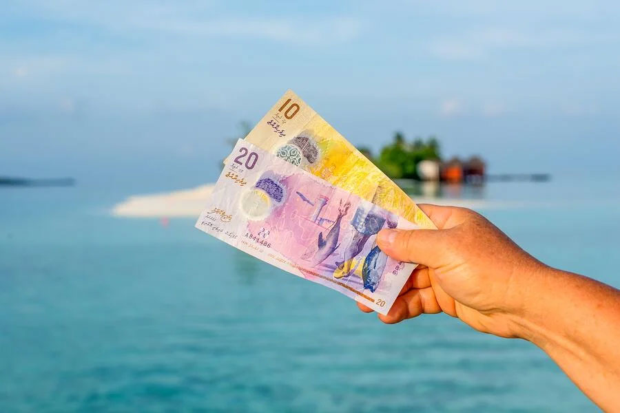 Maldivian President Mohamed Muizzu accused opposition of attempting financial coup