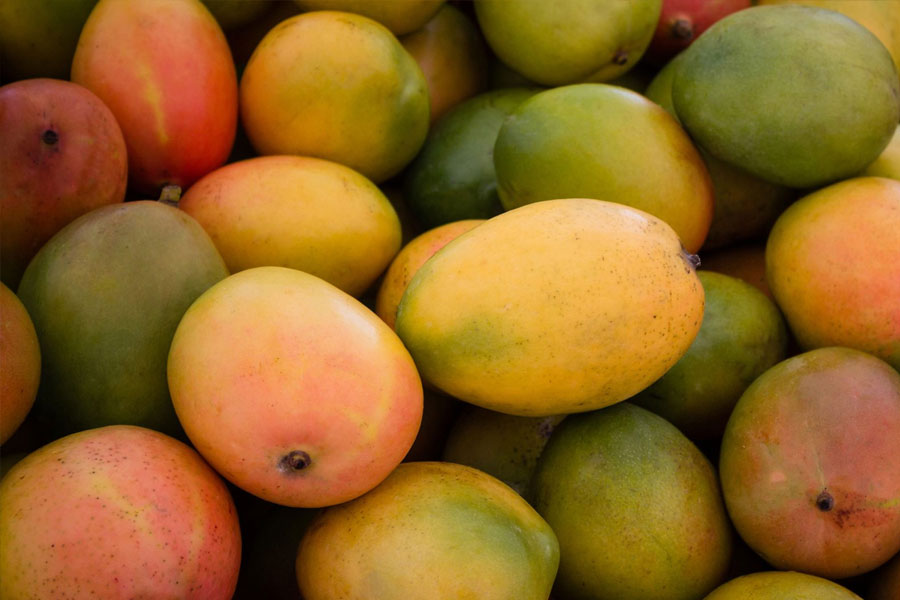Mango export of china led to cut Indian export