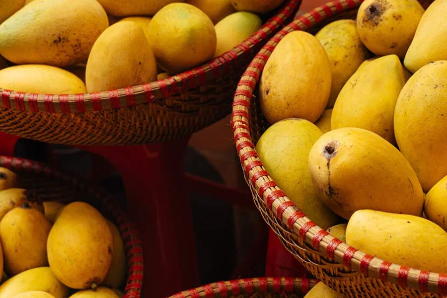 Mango export of china led to cut Indian export