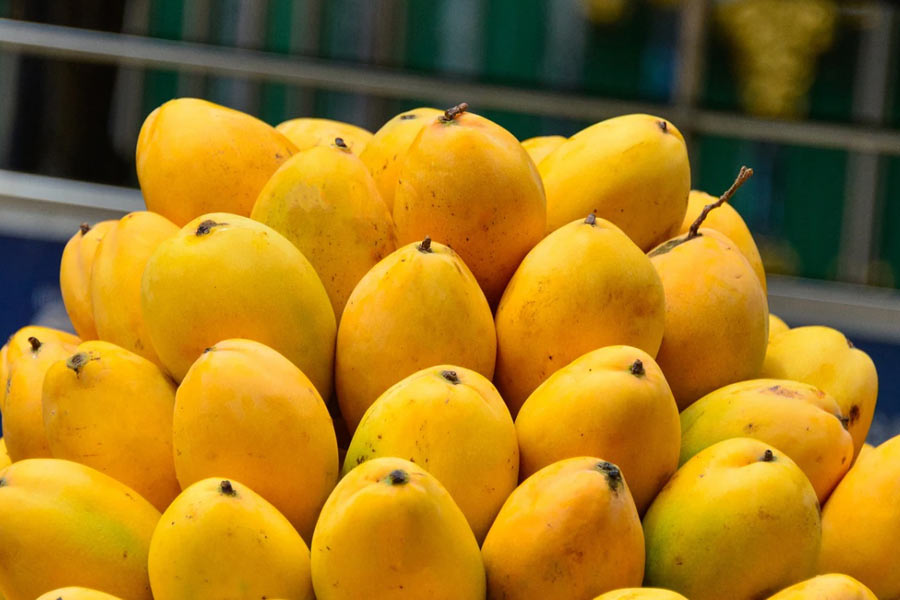 Mango export of china led to cut Indian export