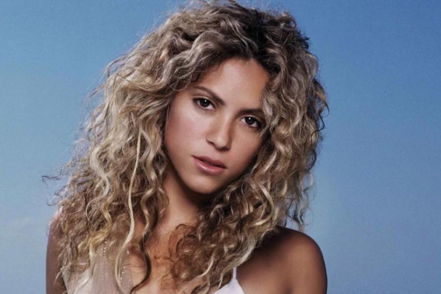 From Shah Rukh Khan to Mika Singh, nine celebrities who own private islands 