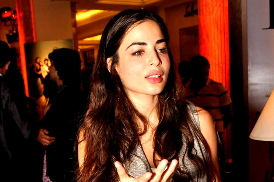 মডেল হিসাবে কেরিয়ার শুরু করলেও পরে পারিবারিক ব্যবসার সঙ্গে যুক্ত হন আয়েশা।