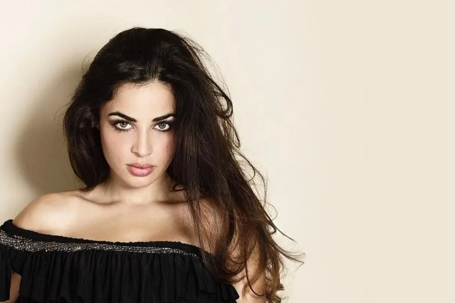 পারিবারিক ব্যবসার দায়িত্ব নেওয়ার পাশাপাশি নিজেও ব্যবসা শুরু করেন আয়েশা। গয়নার প্রতি বিশেষ আগ্রহ রয়েছে তাঁর। তাই নকশা করে গয়না বিক্রির সংস্থা গড়ে তোলেন তিনি।