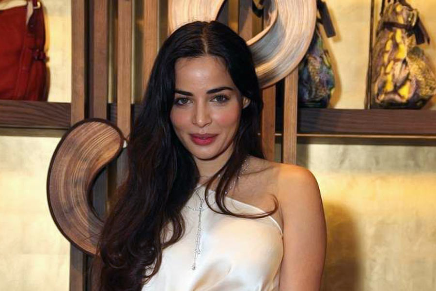 ২০০৩ সালে এনগিন ইয়েসিল নামে এক শিল্পপতিকে বিয়ে করেন আয়েশা। কিন্তু তাঁদের সম্পর্ক বেশি দিন টেকেনি। চার বছর পর ২০০৭ সালে এনগিনের সঙ্গে বিবাহবিচ্ছেদ হয় আয়েশার।