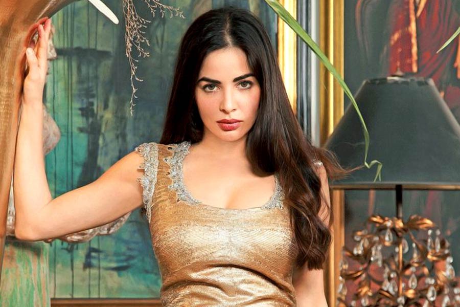 ২০১৪ সালে বিয়ে করার এক বছর পর ২০১৫ সালের জুন মাসে পুত্রসন্তানের জন্ম দেন আয়েশা।