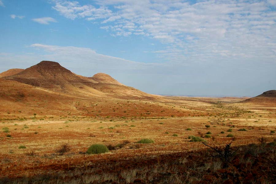 Namibia to kill more than 700 animals including elephants due to food crisis