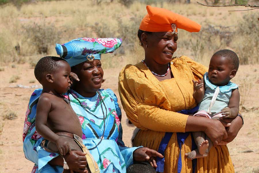 Namibia to kill more than 700 animals including elephants due to food crisis