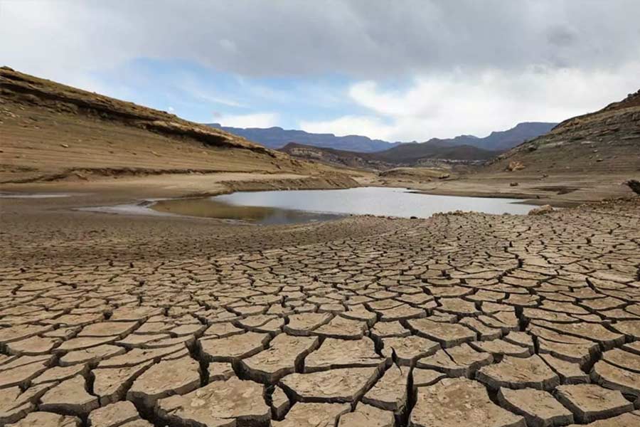 Namibia to kill more than 700 animals including elephants due to food crisis