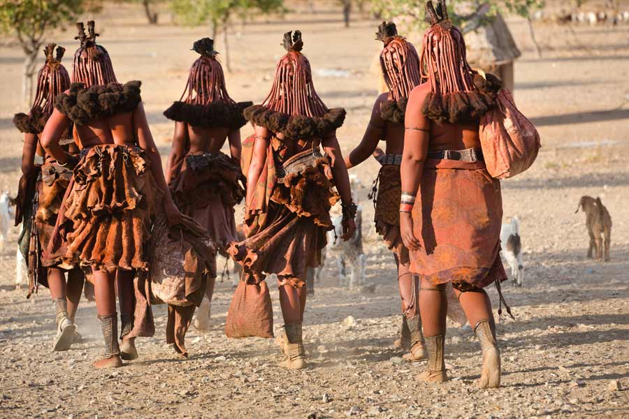 Namibia to kill more than 700 animals including elephants due to food crisis