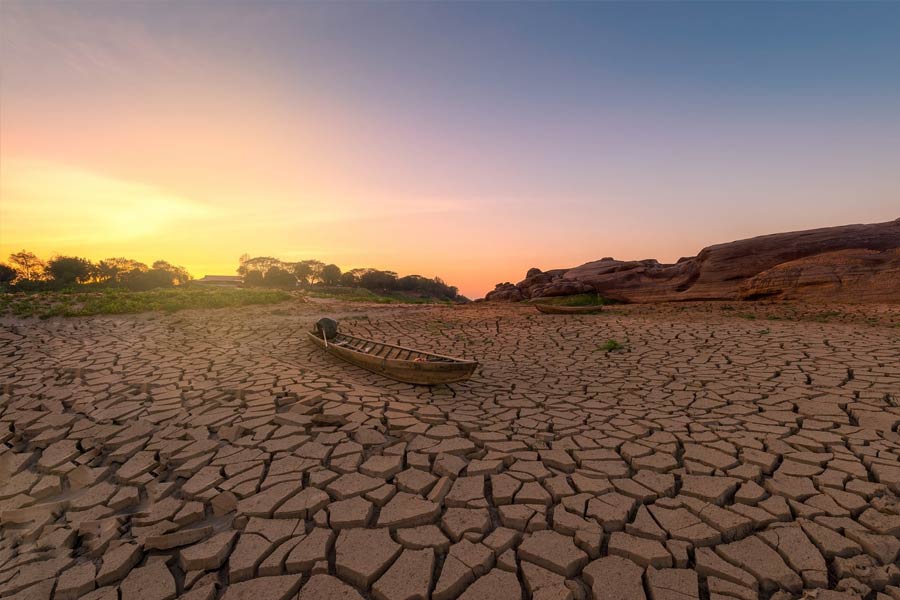 Namibia to kill more than 700 animals including elephants due to food crisis