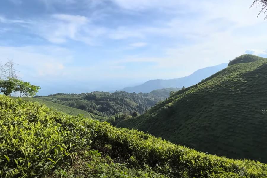দার্জিলিং শহরের কাছেই রয়েছে আর এক সুন্দর গ্রাম ফাজি।