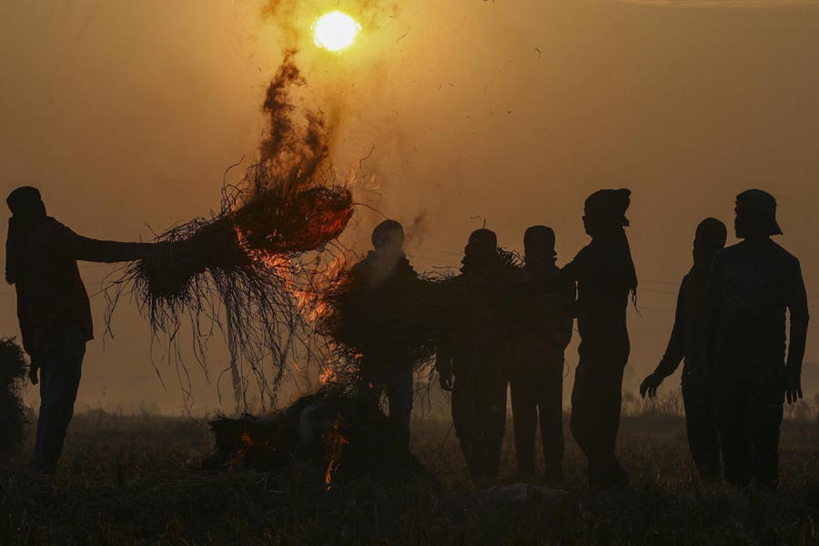 Indian Meteorological department report claims November 2024 has been the warmest November of the century dgtl