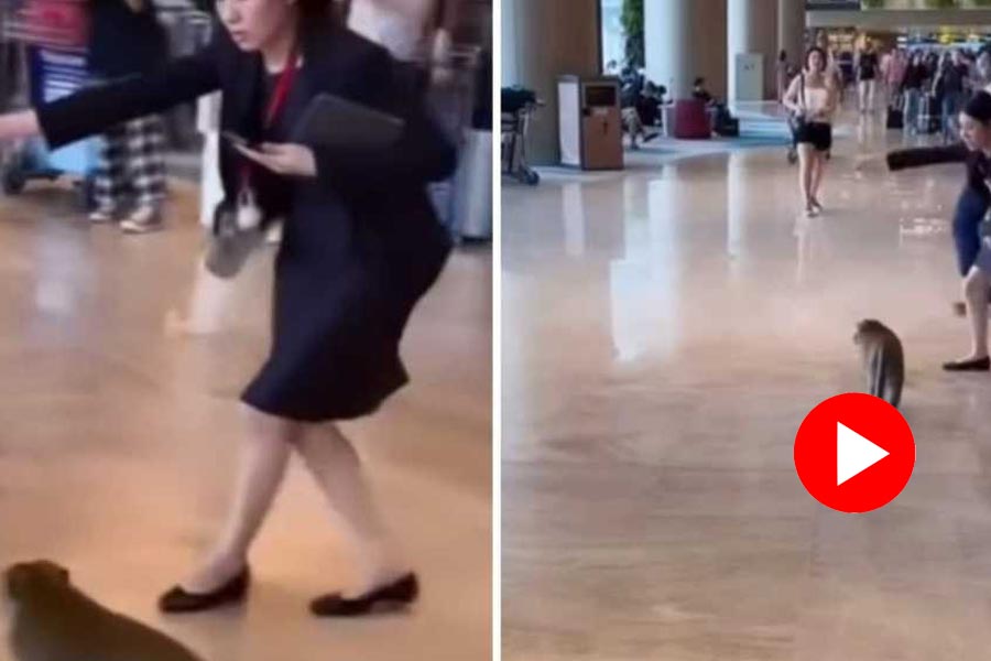 Video of a woman escorting a monkey out of Singapore’s Changi Airport