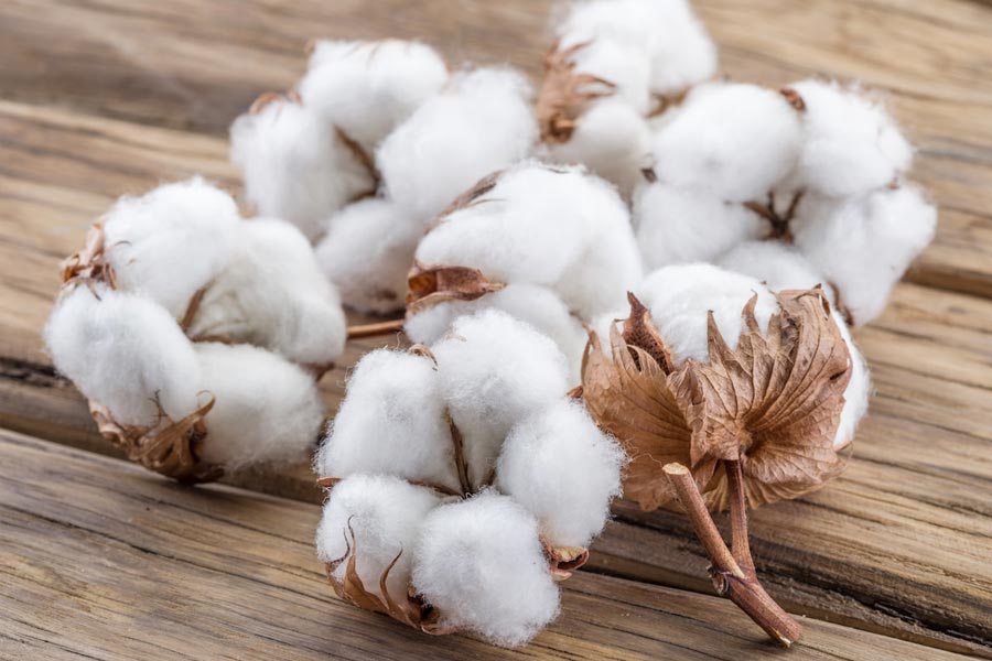 Cotton route of India and Italy may be a game changer to counter china Silk route 