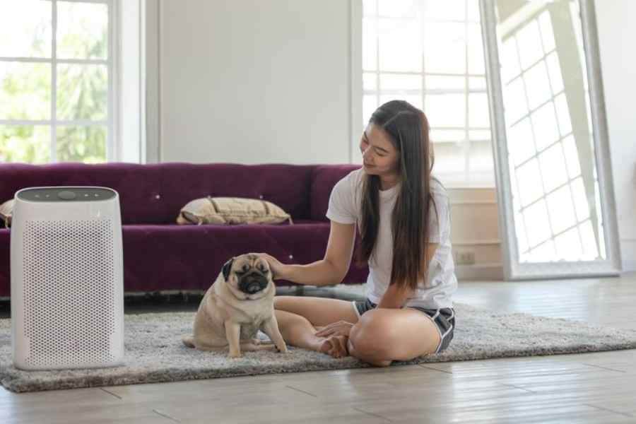 Are Air Purifiers good and safe for Pets