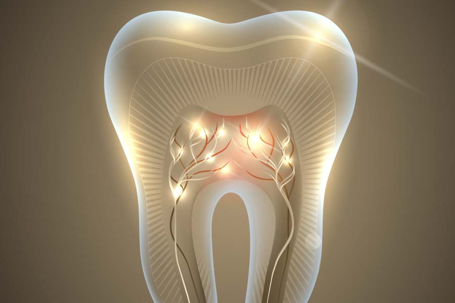 World’s expensive human tooth worth 30 lakh rupees