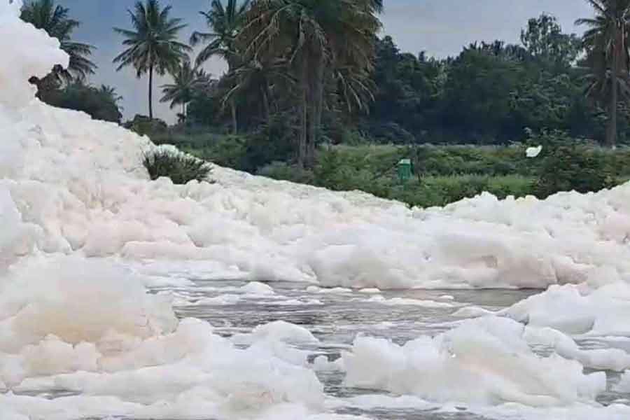 হোসুরে নদীতে ভাসছে ‘বিষাক্ত’ ফেনা।