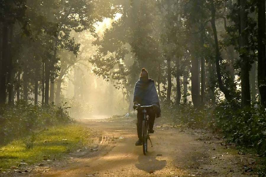 শনিবার পুরুলিয়ায় সর্বনিম্ন তাপমাত্রা ছিল উত্তরের কালিম্পঙের চেয়েও কম।