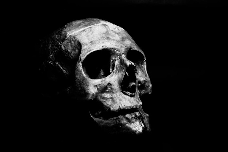 Thai temple has concealing 73 corps to train monks in meditation