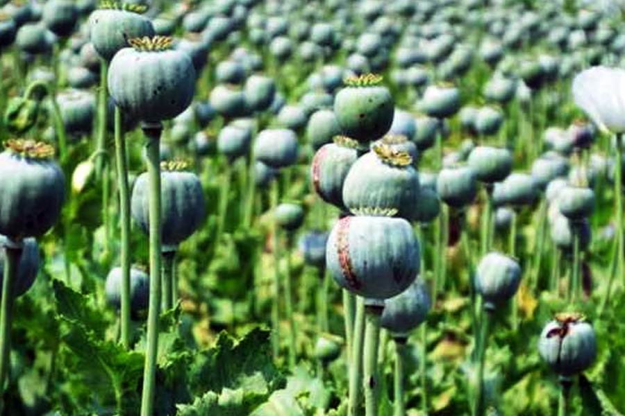 Andaman drug bust Rs 36 thousand Methamphetamine seized caused concern for national security