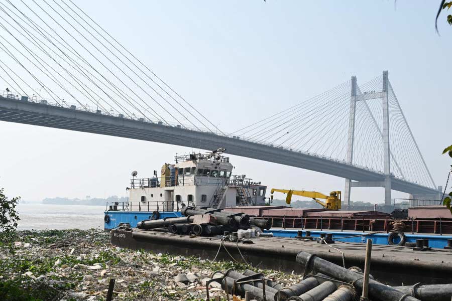 কলকাতার নদীর ভাঙনের মোকাবিলায় পার সংলগ্ন এলাকায় নারকেল গাছ লাগাচ্ছে কলকাতা পুরসভা।