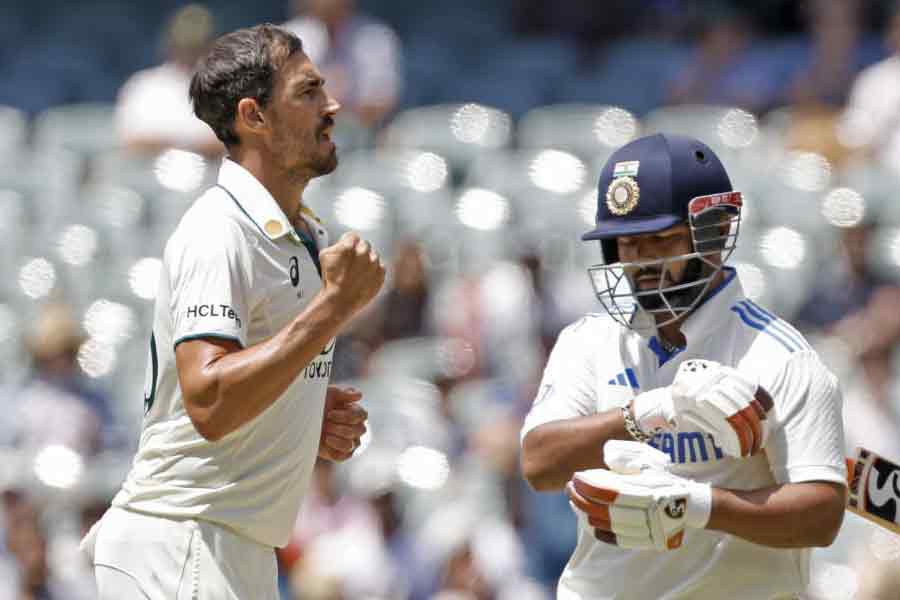 Starc and Pant