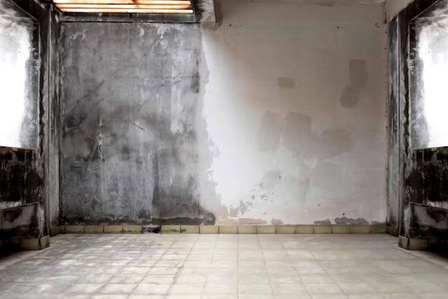 স্থানীয় সংবাদমাধ্যম সূত্রে খবর, ভারতীয় মুদ্রায় বাড়িটির দাম ধার্য করা হয়েছে ১ কোটি ৭০ লক্ষ টাকা। প্রতিবেশীদের আশা, বাড়িটি যিনি কিনবেন তিনি পরিবার নিয়ে এসে থাকবেন। বাড়িটি যেন আবার বাসযোগ্য হয়ে ওঠে, এমনটাই চাইছেন তাঁরা।