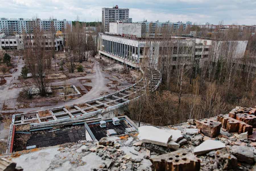 Dogs living in Chernobyl Exclusion Zone became super dogs due to mutation caused by nuclear disaster, claims scientists