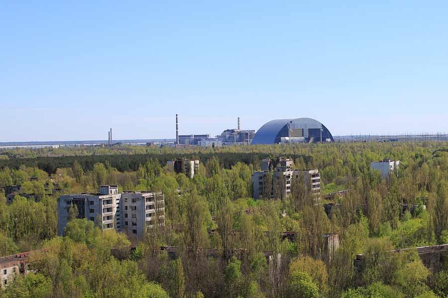 Dogs living in Chernobyl Exclusion Zone became super dogs due to mutation caused by nuclear disaster, claims scientists