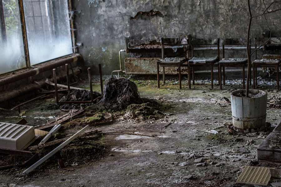 Dogs living in Chernobyl Exclusion Zone became super dogs due to mutation caused by nuclear disaster, claims scientists