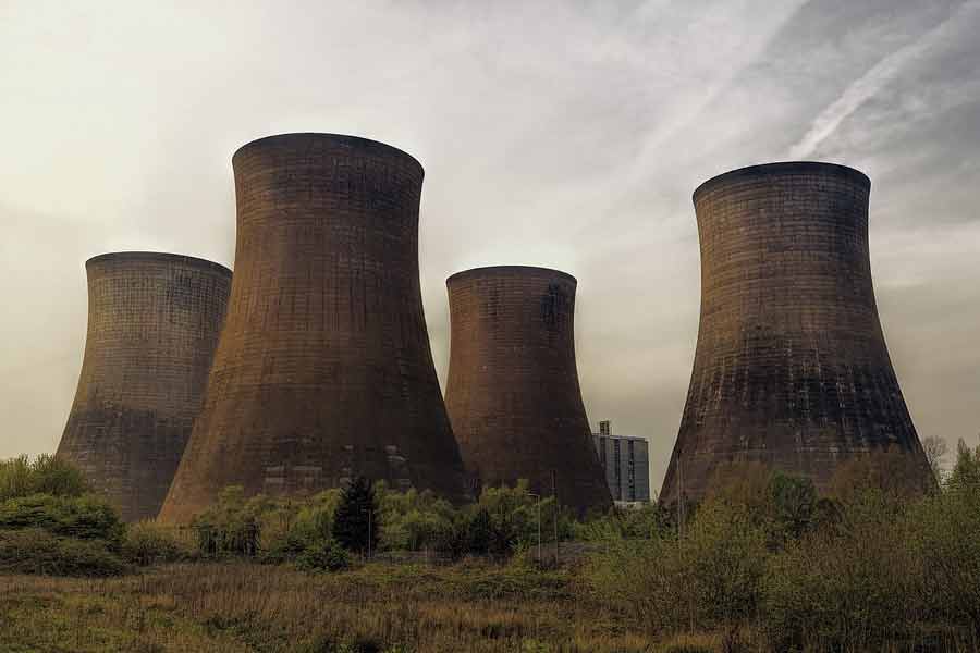 Dogs living in Chernobyl Exclusion Zone became super dogs due to mutation caused by nuclear disaster, claims scientists