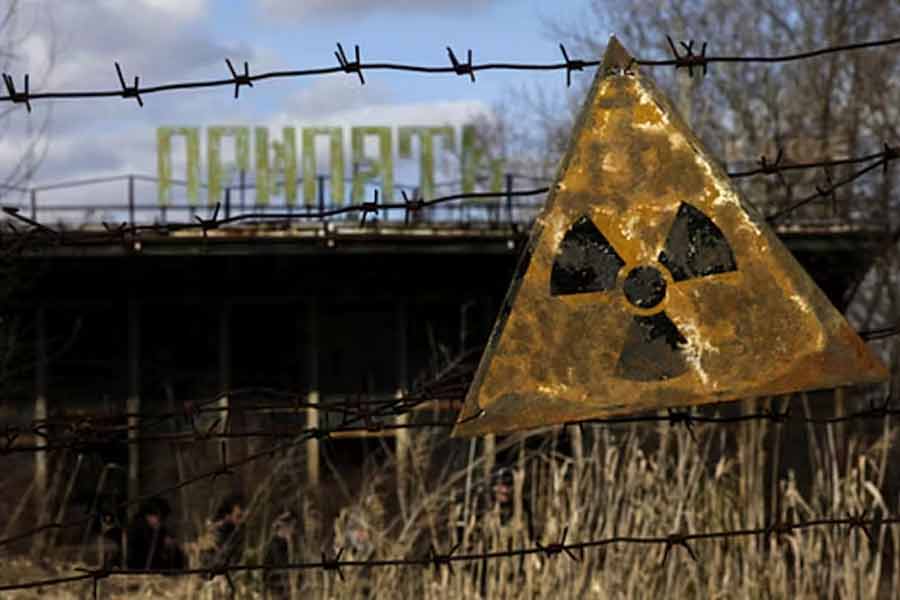 Dogs living in Chernobyl Exclusion Zone became super dogs due to mutation caused by nuclear disaster, claims scientists