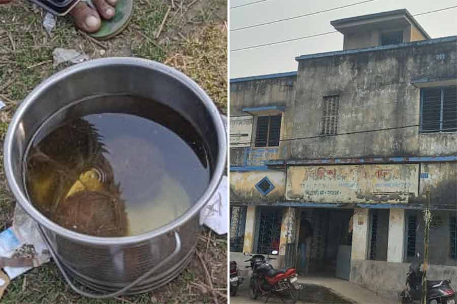 তেহট্ট বালিকা প্রাথমিক বিদ্যালয়। নিজস্ব চিত্র