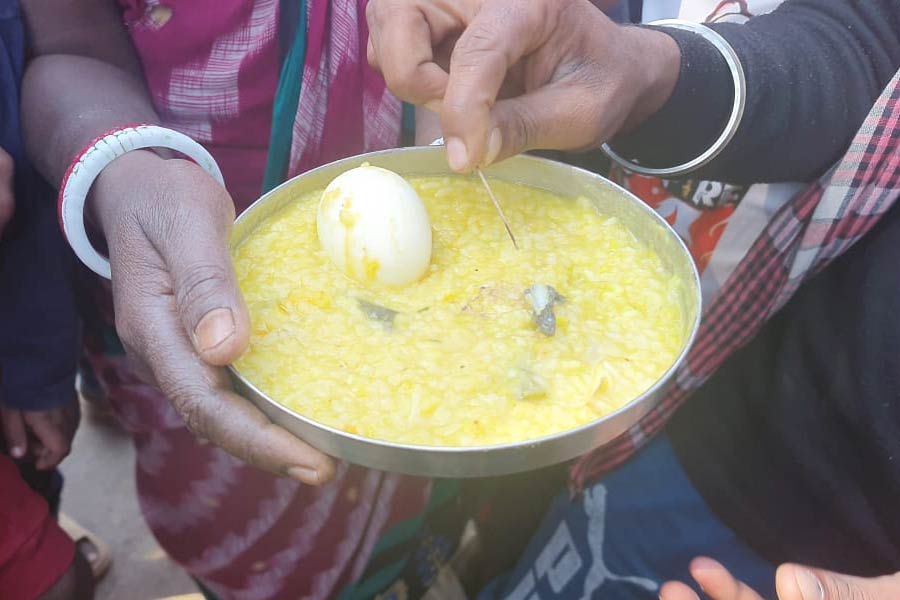 টিকটিকি ভাসছে খিচুড়িতে।