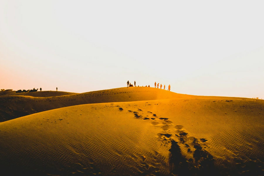 Thar dessert is converting into green forest, what is the reason behind it 
