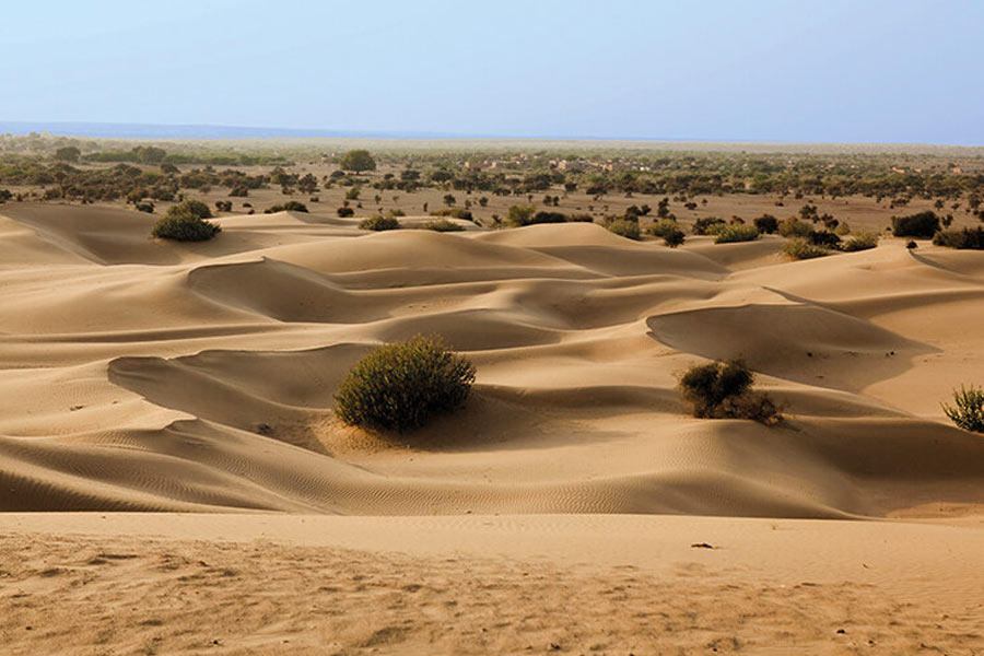 Thar dessert is converting into green forest, what is the reason behind it 