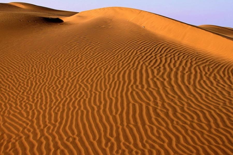 Thar dessert is converting into green forest, what is the reason behind it 