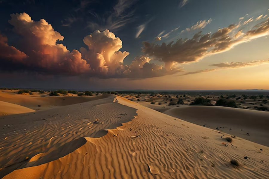 Thar dessert is converting into green forest, what is the reason behind it 