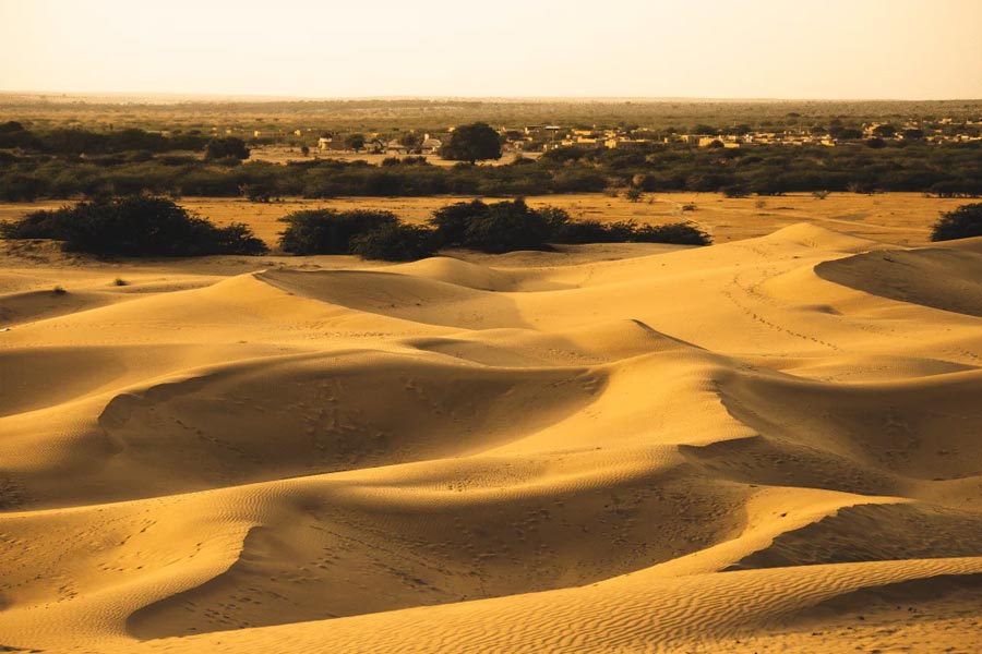 Thar dessert is converting into green forest, what is the reason behind it 