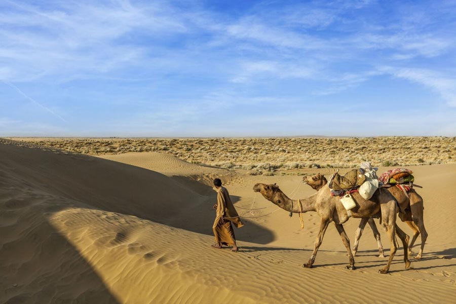 Thar dessert is converting into green forest, what is the reason behind it 