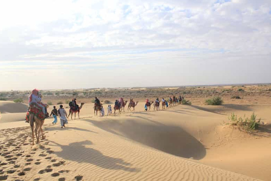 Thar dessert is converting into green forest, what is the reason behind it 