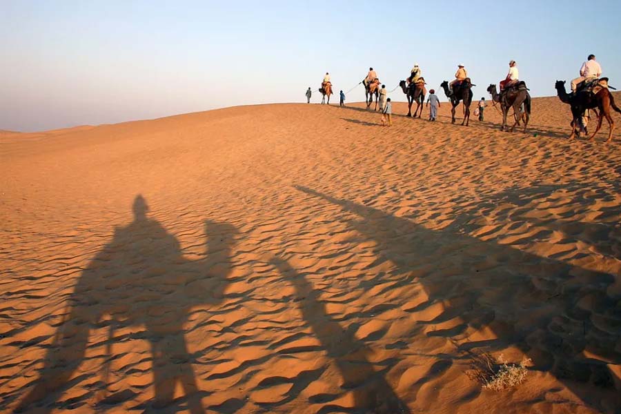Thar dessert is converting into green forest, what is the reason behind it 
