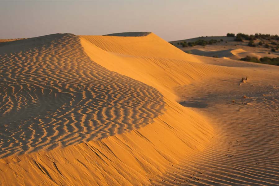 Thar dessert is converting into green forest, what is the reason behind it 