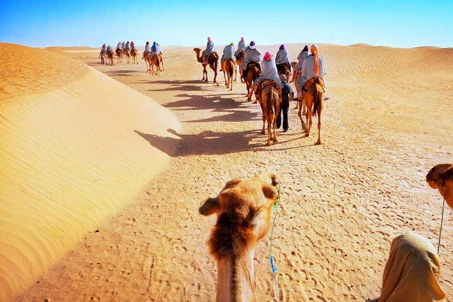 Thar dessert is converting into green forest, what is the reason behind it 