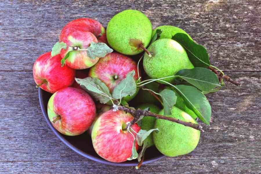 Apple or Guava which one is healthier