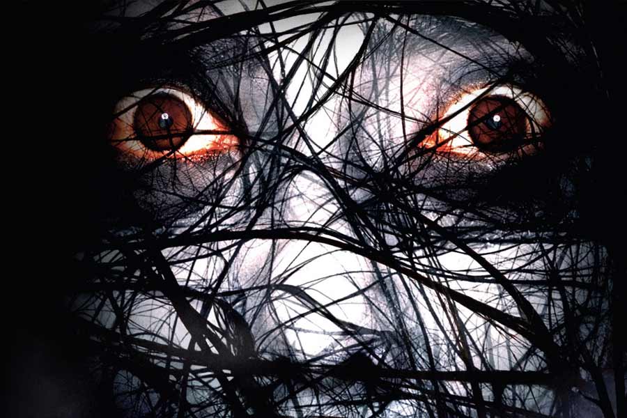 Know the real story behind the Amityville Horror House in Long Island 