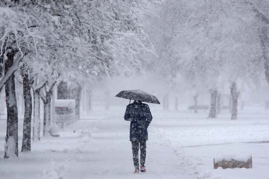 All you need to know about Polar Vortex